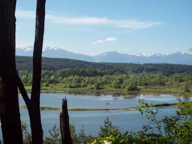 Veligrant-Sarnitsa-Dospat road