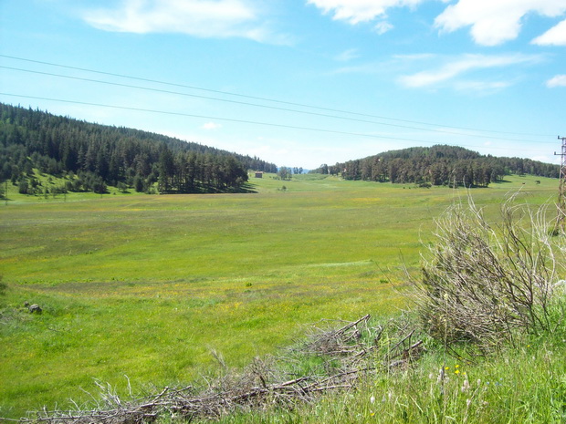 Veligrant-Sarnitsa-Dospat road