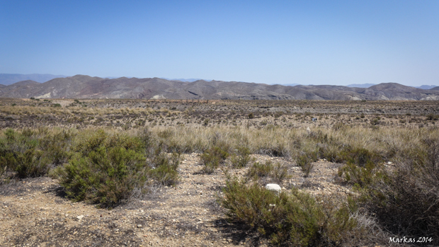 Tabernas