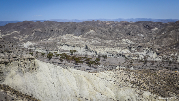 Tabernas