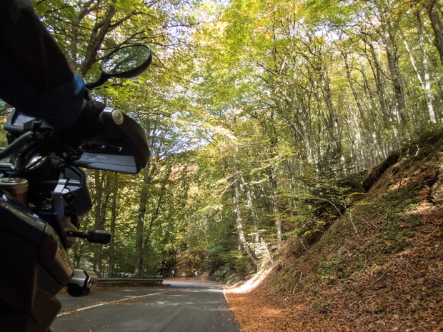 Aspromonte National Park