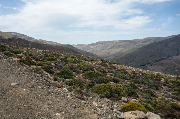 Road from Tsoutsouro to Ethia