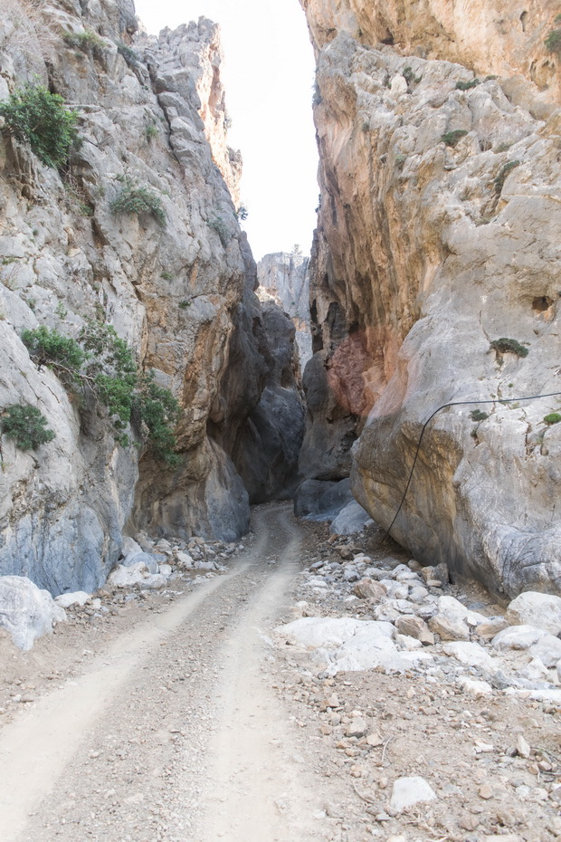 Tripiti gorge