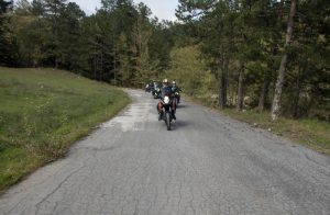 Road to Dimona waterfalls