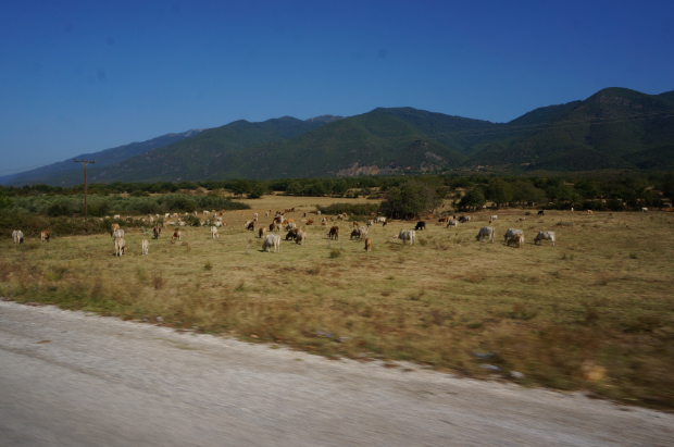 Ημερολόγια Μοτοσυκλέτας: Βαλκάνια