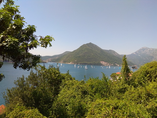 Kotor bay