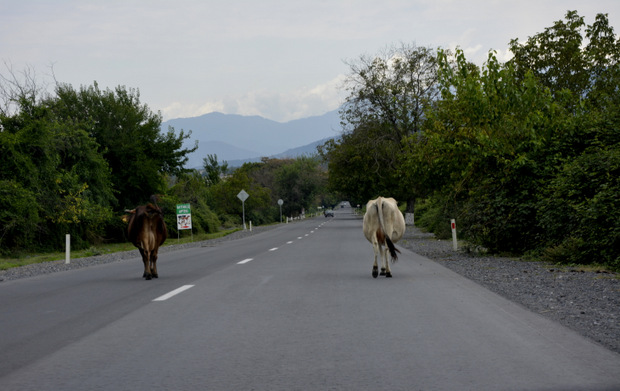 Ημερολόγια Μοτοσυκλέτας: Ιράν