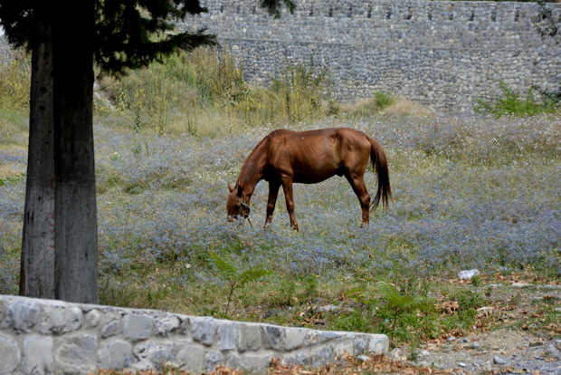 Ημερολόγια Μοτοσυκλέτας: Ιράν