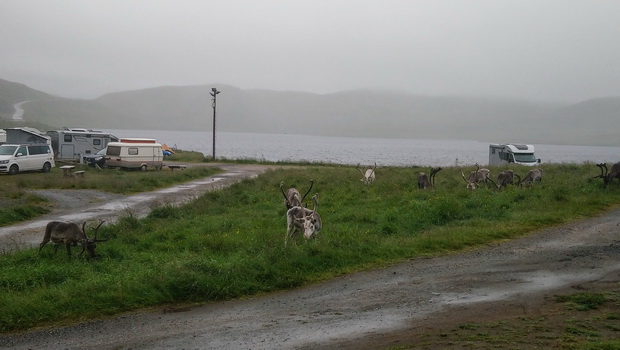 BaseCamp North Cape