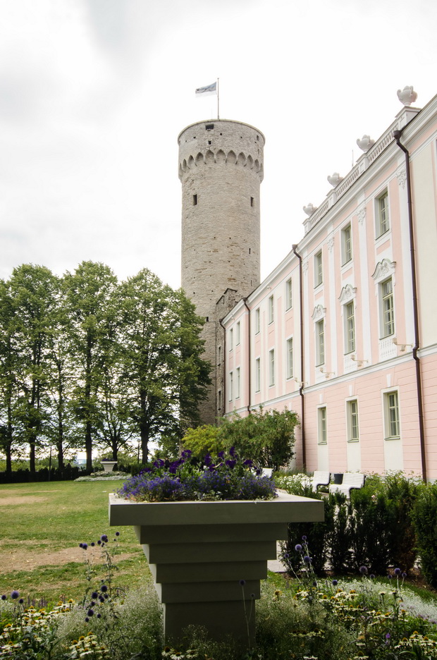 Pikk Hermann, Tallinn