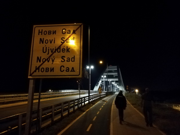 Žeželj bridge, Novi Sad