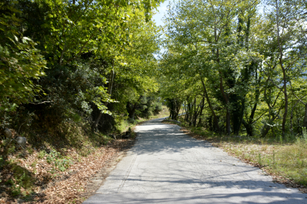 Καλλαρύτικος ποταμός