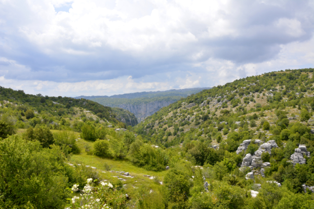 Θέση Μπελόη