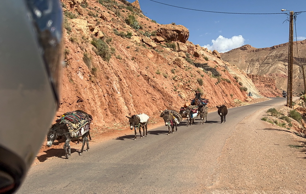 Near Kalaat M'Gouna