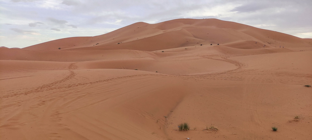 Erg Chebbi