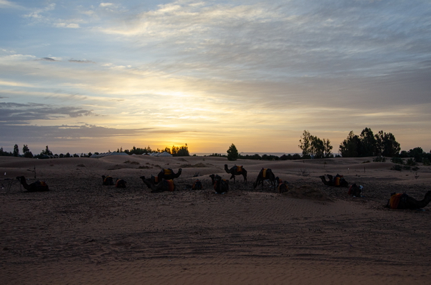 Erg Chebbi