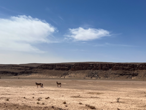 Rn17 west from Zagora