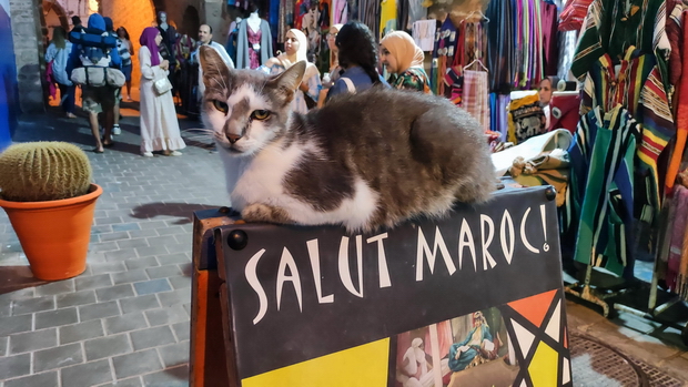 Essaouira, Morocco