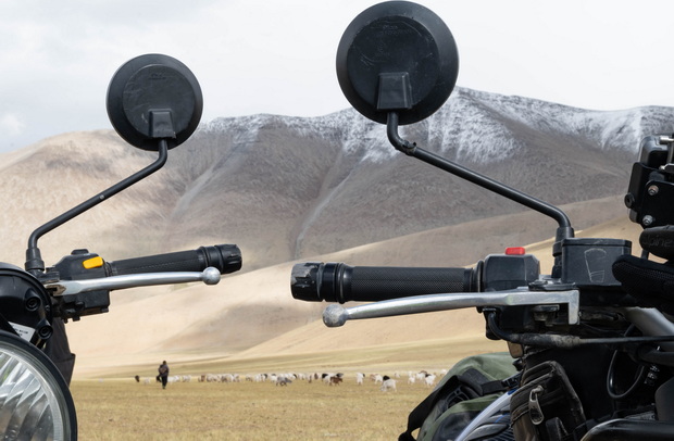 The mighty Himalayans