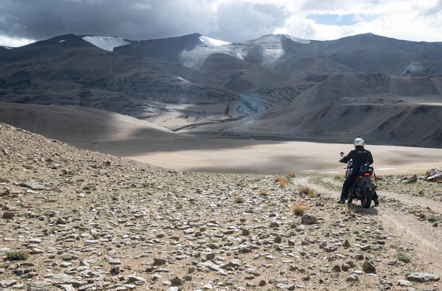 The mighty Himalayans